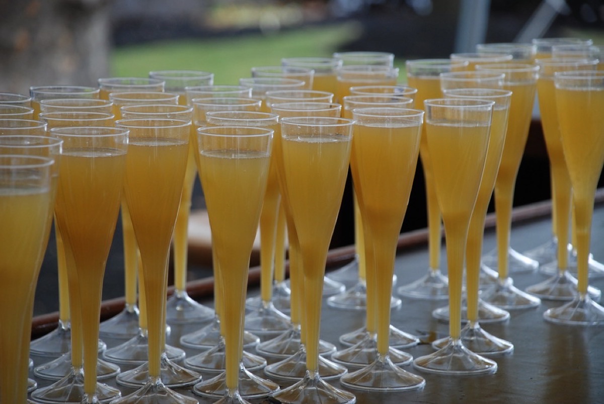 Virgin Mimosa